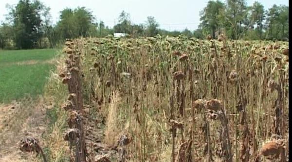 george stanga pnl galati schimbarile climatice reprezinta cea mai mare amenintare cu care ne confruntam
