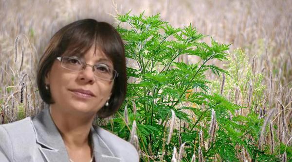 alergia la ambrozia are leac dr carmen bunu panaitescu nu taiem nimic ca sa scoatem raul dupa tratamentul injectabil alergicul devine tolerant pe viata la aceasta buruiana