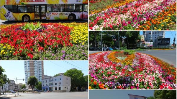 constantenii enervati dupa pozele cu flori publicate de primaria constanta si gropile mizerie lucrari neterminate strazi neasfaltate florile n au nicio valoare