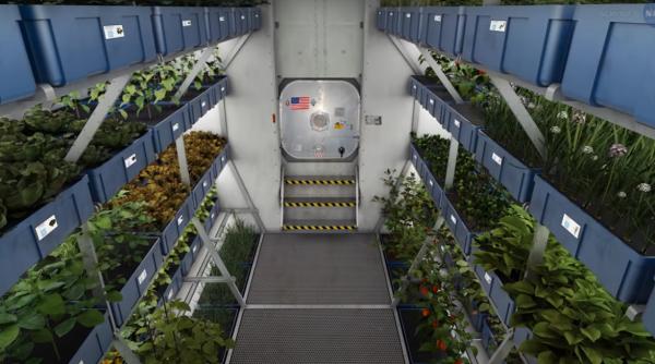 in viitor vom putea practica gradinaritul orbital astronautii nasa recolteaza deja legume in spatiu fara sol
