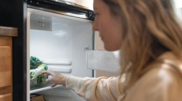 stiati ca puteti folosi congelatorul nu doar pentru depozitarea alimentelor