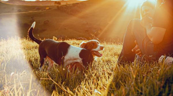 canicula a incins romania sfaturile medicilor pentru aceasta perioada greseala pe care o faci inainte sa iesi din casa