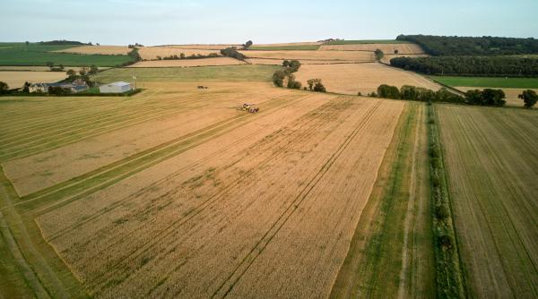 emil dumitru pnl propune o reforma funciara profunda cu acordul proprietarilor trebuie sa comasam si sa dam valoare terenurilor