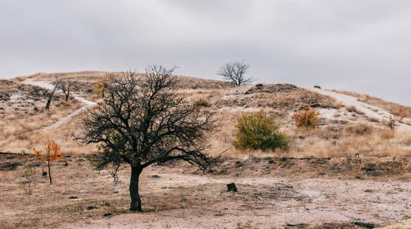 stare de urgenta in italia din cauza secetei