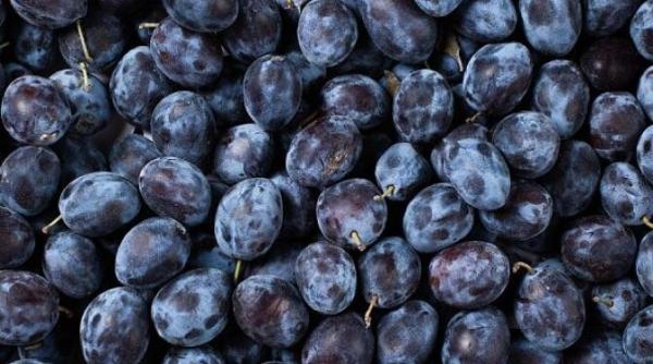 dulceata sanatoasa din prune cu aroma de ciocolata nu ai mancat niciodata ceva mai bun