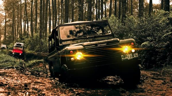 turisti straini amendati in apuseni dupa ce au patruns cu masinile in ariile naturale protejate