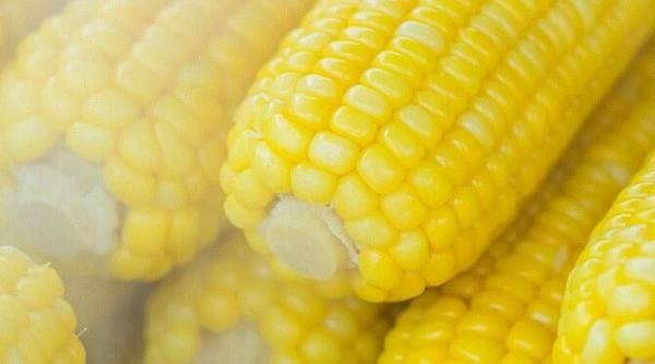 porumb fiert conservat in borcane o gustare plina de vitamine ti e pofta de ceva dulce in timpul iernii