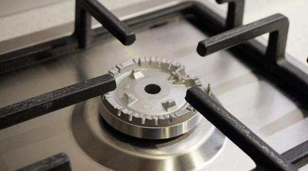 franta anunta ca va renunta in totalitate la gazele rusesti