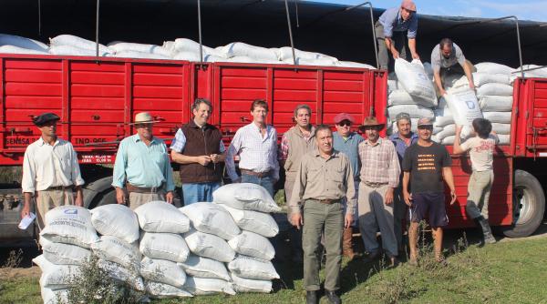 de ce unii barbati in toata firea de langa bucuresti nu mai muncesc fenomen explicat foarte simplu cu pretul catorva sute de mii de euro video