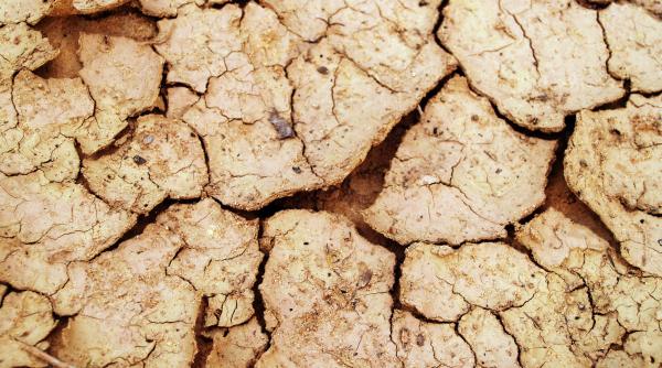 cupola de foc deasupra romaniei elena mateescu va fi resimtita lipsa precipitatiilor