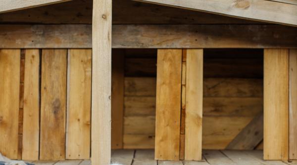 veterinarii sfat pentru proprietarii de caini dati animalele cu crema de protectie solara substantele interzise