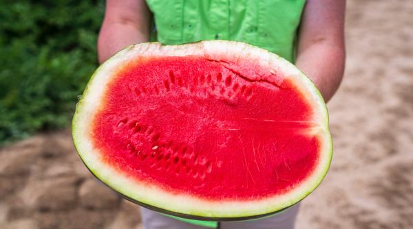 cateva trucuri care te ajuta sa alegi un pepene delicios