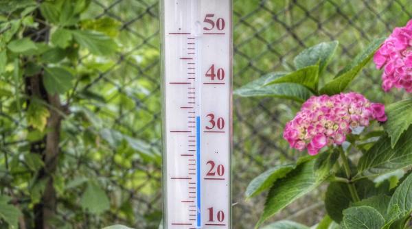 alerta de temperaturi ridicate in marea britanie englezilor li se cere sa stea in case spitalele la capacitate maxima