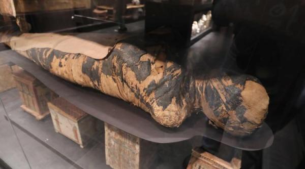 cancerul o boala veche de milenii o mumie egipteana ar fi suferit in timpul vietii sale