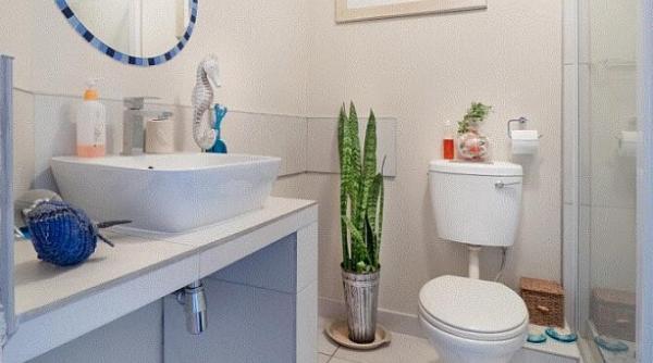 elimina rapid mirosul neplacut din baie cu acest truc