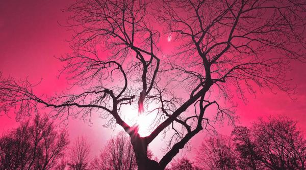 cerul s a facut roz in australia martor vine sfarsitul lumii foto in articol