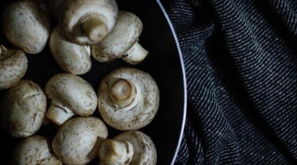 ciuperci marinate crocante delicioase si satioase aperitivul poate fi consumat chiar a doua zi