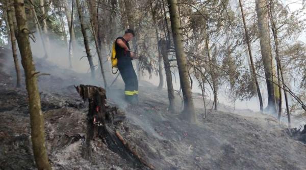 incendiul de padure de la colibita s a aprins de la o tigara