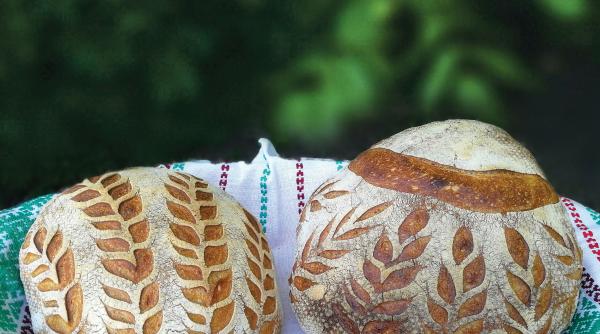 muzeul satului dimitrie gust invitatie la targul de paine la seceratul graului