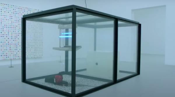 un muzeu din germania a incalcat drepturile mustelor peta s a autosesizat