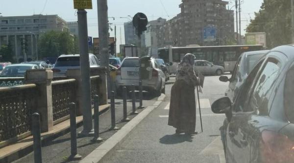 porumbeii pe graunte si vestitorii crizei economice doua imagini din bucuresti