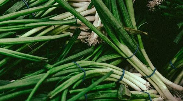 cea mai rapida si eficienta metoda sa cresti ceapa verde fara a avea un ghiveci cu pamant