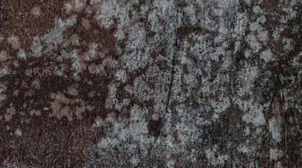 scapa rapid de mucegaiul de pe pereti vei avea nevoie de cateva produse din bucatarie si de o sticla