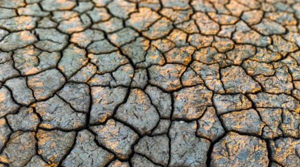 situatie fara precedent in ultimii 70 de ani in dolj dunarea a scazut 7 cm intr o zi si nu se mai poate iriga