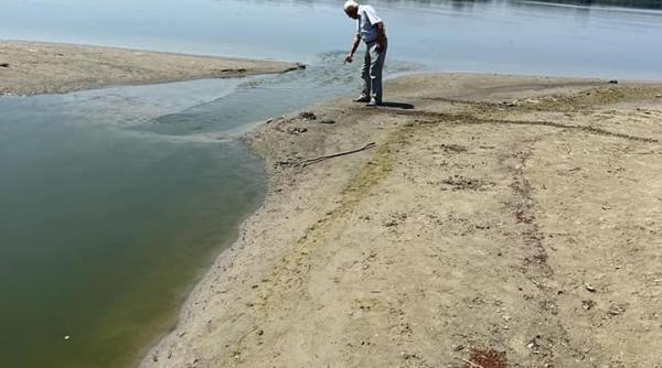 suparare in coalitie pe irigatii bolos ar fi nemultumit de gandirea de anii 50 a lui daea