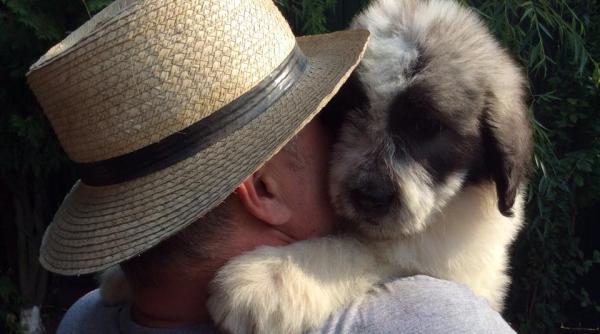 cea mai mare tampenie cand este canicula pana si cainii stiu ce sa faca vara paradoxul vine cand vorbim de oameni video