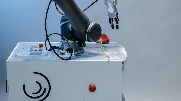 cele mai grave accidente cu sisteme robotizate lista incidentelor dupa ce un robot i a rupt degetul unui copil cu care juca sah