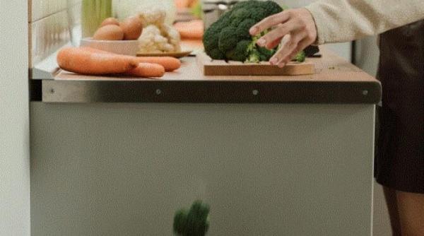 cosul de gunoiul miroase vara urat puteti rezolva problema rapid si cu putine costuri