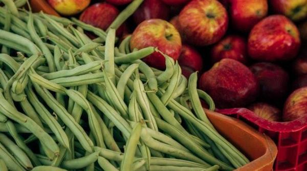 fasole verde conservata trucul cu care o puteti pastra proaspata mai multi ani