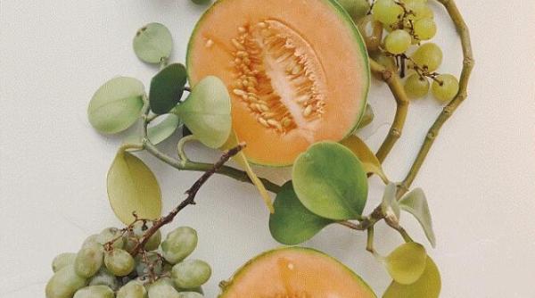 cinci semne ca pepenele galben este copt si dulce verificati inainte de a l cumpara