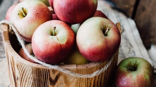 nu mai aruncati coaja de mar iata cum o puteti utiliza in bucatarie