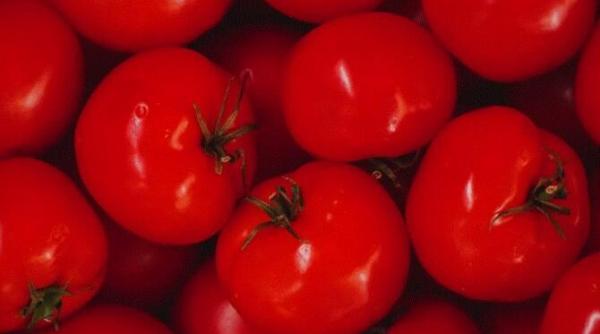 rosii pane la cuptor se fac usor si va puteti bucura rapid de gustul lor grozav