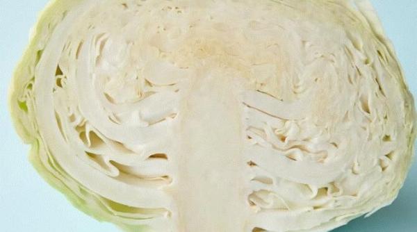 cea mai buna salata de vara