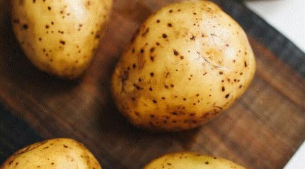 cartofi noi in sos de smantana cu marar si usturoi o reteta satioasa si savuroasa