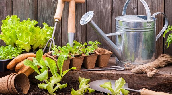 echipamente de constructii si instalatii care nu trebuie sa va lipseasca daca locuiti la casa p