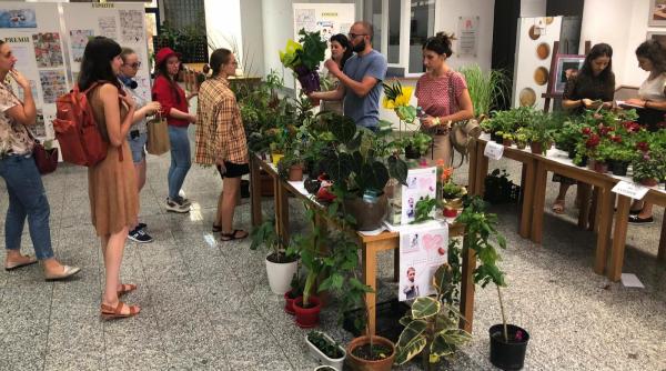 targ de flori caritabil sa il ajutam pe efrem copilul de 4 ani bolnav de cancer din cluj