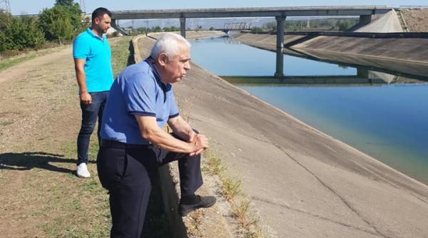 daea si cormoranii au ajuns sa manance mai multi pesti decat oamenii