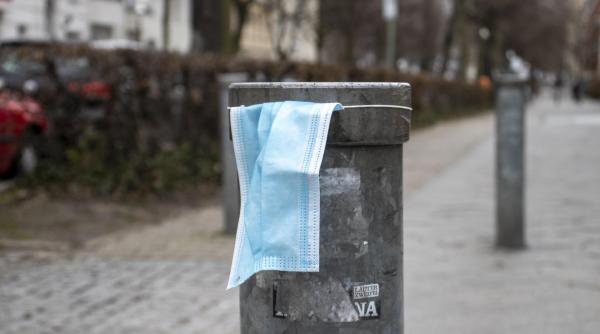 mastile aruncate la intamplare in pandemie efect negativ asupra pasarilor din toata lumea 114 incidente raportate in 23 de tari