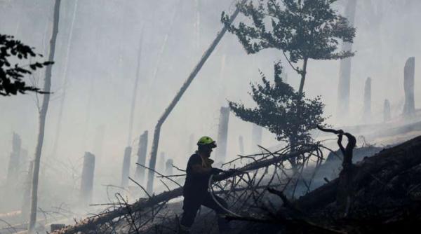 900 de pompieri se lupta cu flacarile intr un parc national din republica ceha