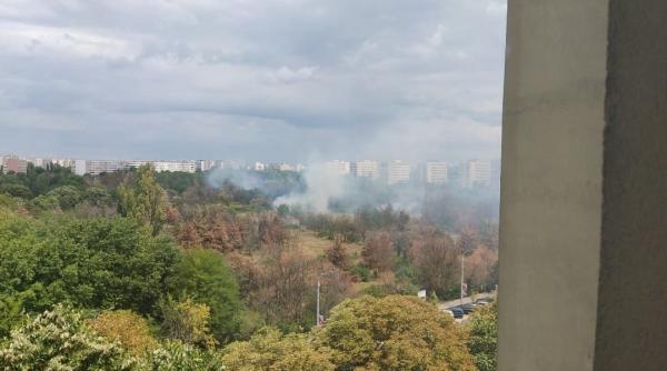 incendiu de vegetatie in parcul ior din capitala