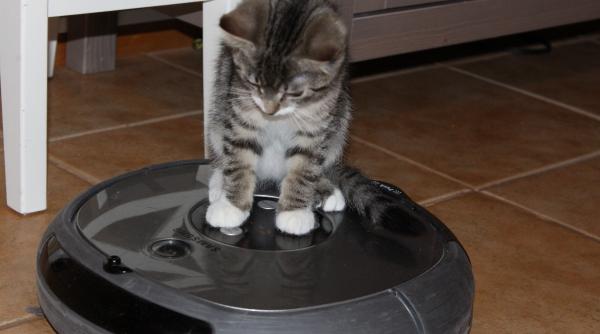 nu ai timp de curatenie ia ti un aspirator robot e salvarea tuturor gospodinelor