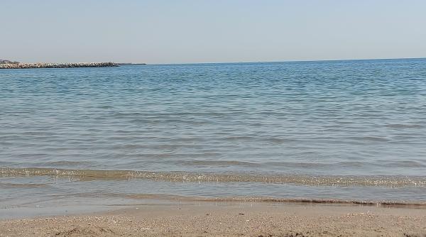 cum a fost distrusa mamaia perla romaneasca de la marea neagra vergil chitac ar trebui sa se duca la radu mazare sa l invete ce sa faca video