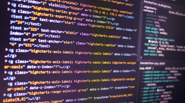 elevii ar putea studia algoritmi si programare la orele de informatica