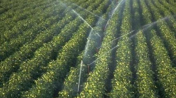 oana bulai 1 5 miliarde euro alocate pentru infrastructura din irigatii