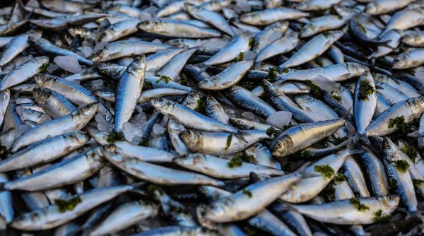 tone de peste din vietnam retrase de pe piata dupa controalele anpc produsul era contaminat cu un metal greu care poate produce boli grave