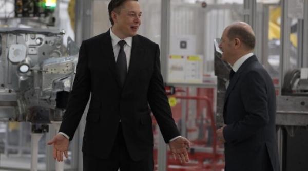 elon musk sustine ca ar fi fost pacalit sa cumpere twitter